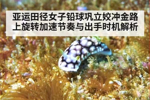 亚运田径女子铅球巩立姣冲金路上旋转加速节奏与出手时机解析